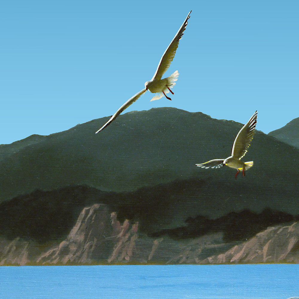 Les mouettes sur la grande plage à contre jour sur un fond de montagnes montagnes