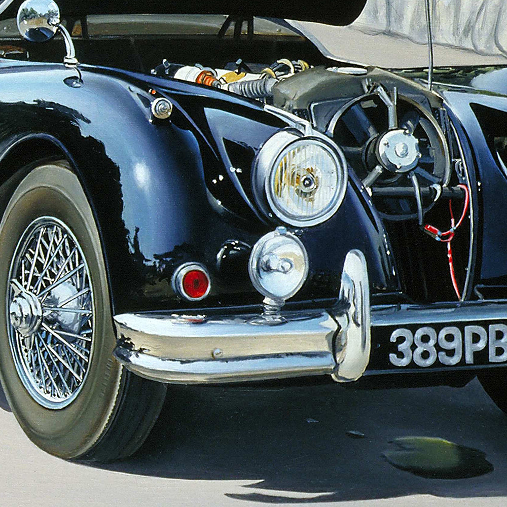 Réflexion.Impression haute définition. Détail de la Jaguar en panne. / Barraya-bis sur Alu Dibond.